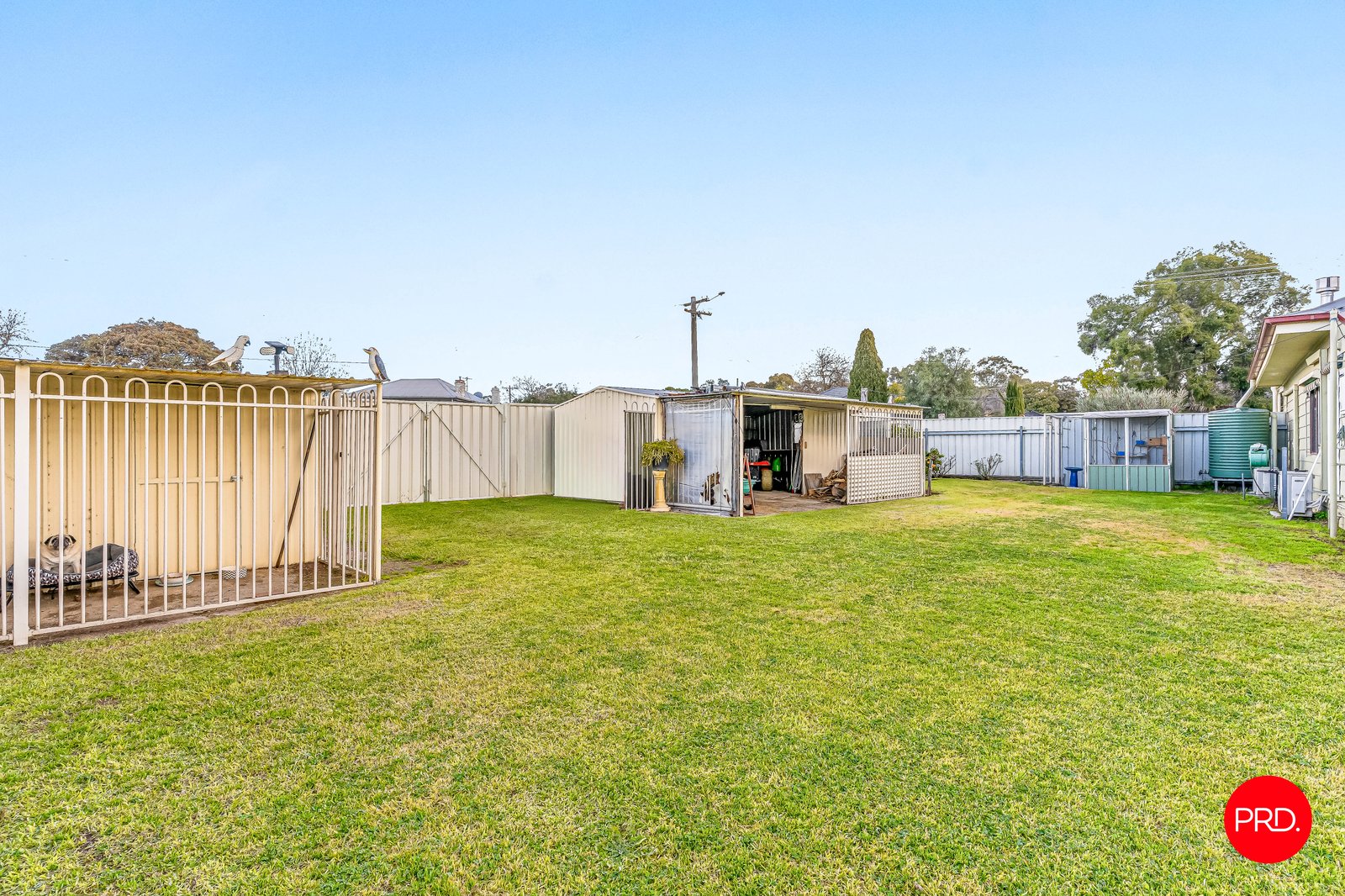 3 Young Street GOLDEN SQUARE 14