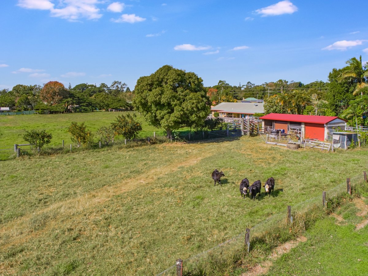 30 Chinbible Avenue MULLUMBIMBY 7