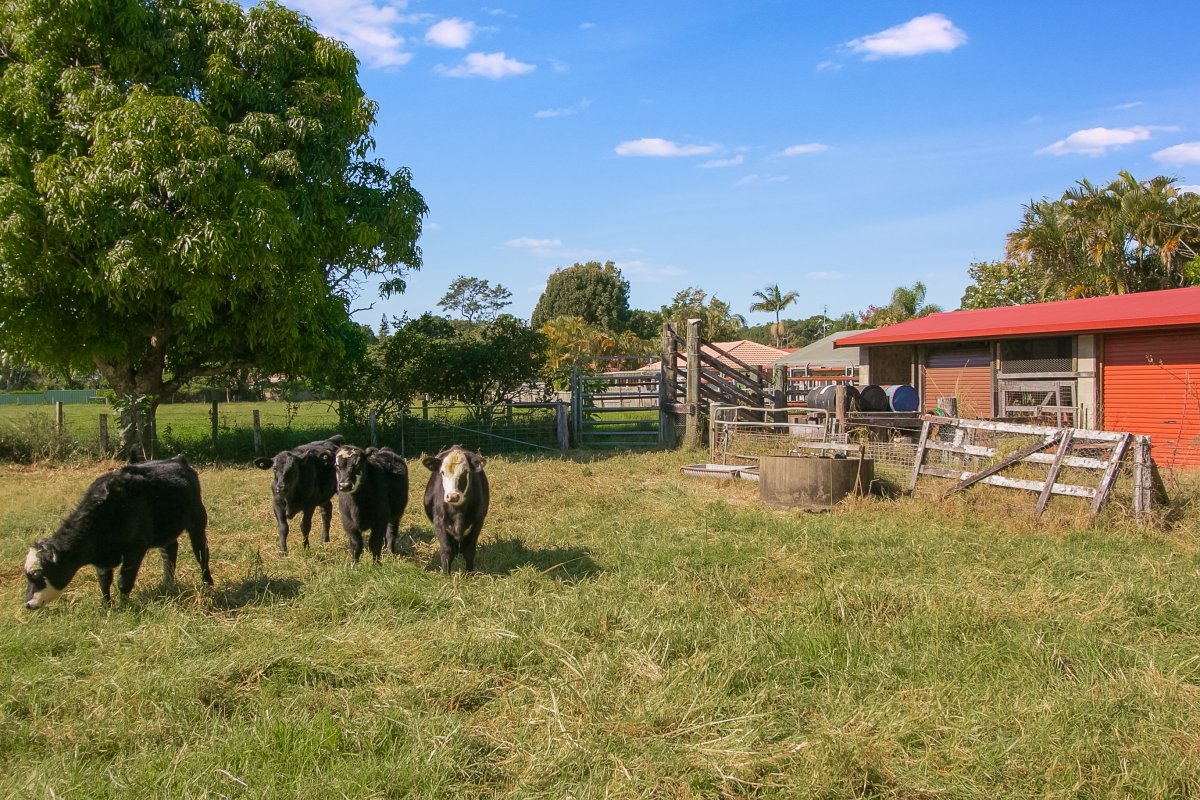 30 Chinbible Avenue MULLUMBIMBY 8