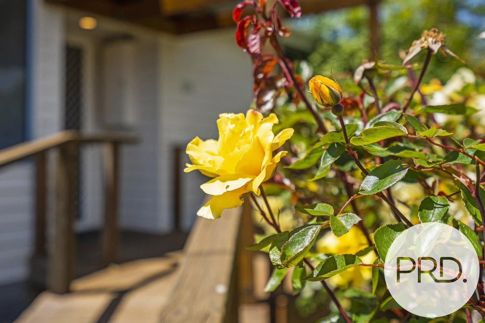 30 Flinders Street WARRANE 6