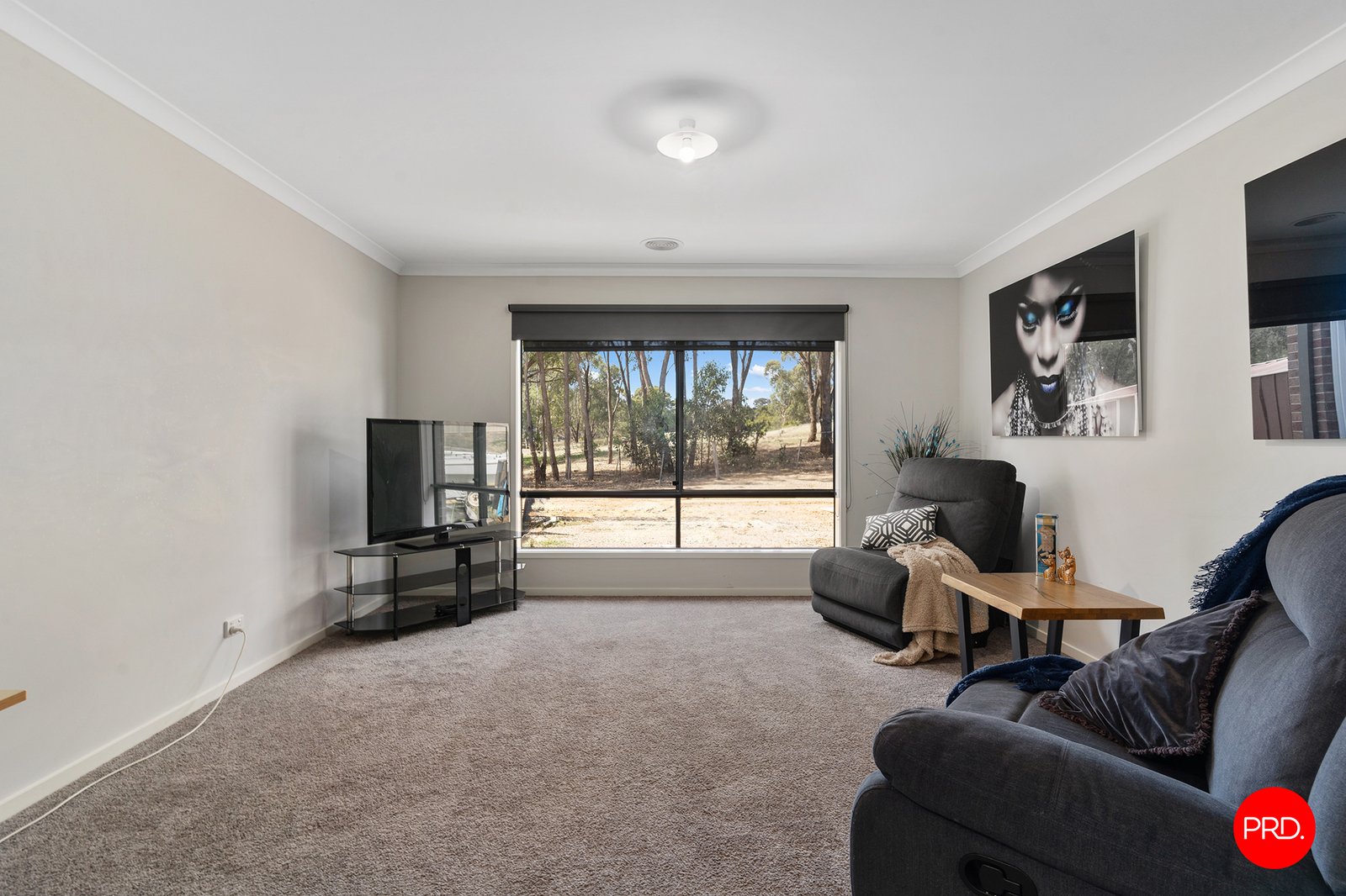 30 Galloway Street ASCOT 7