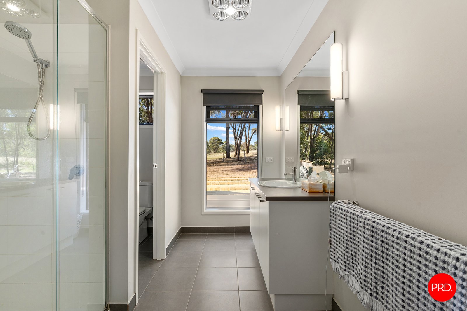 30 Galloway Street ASCOT 13