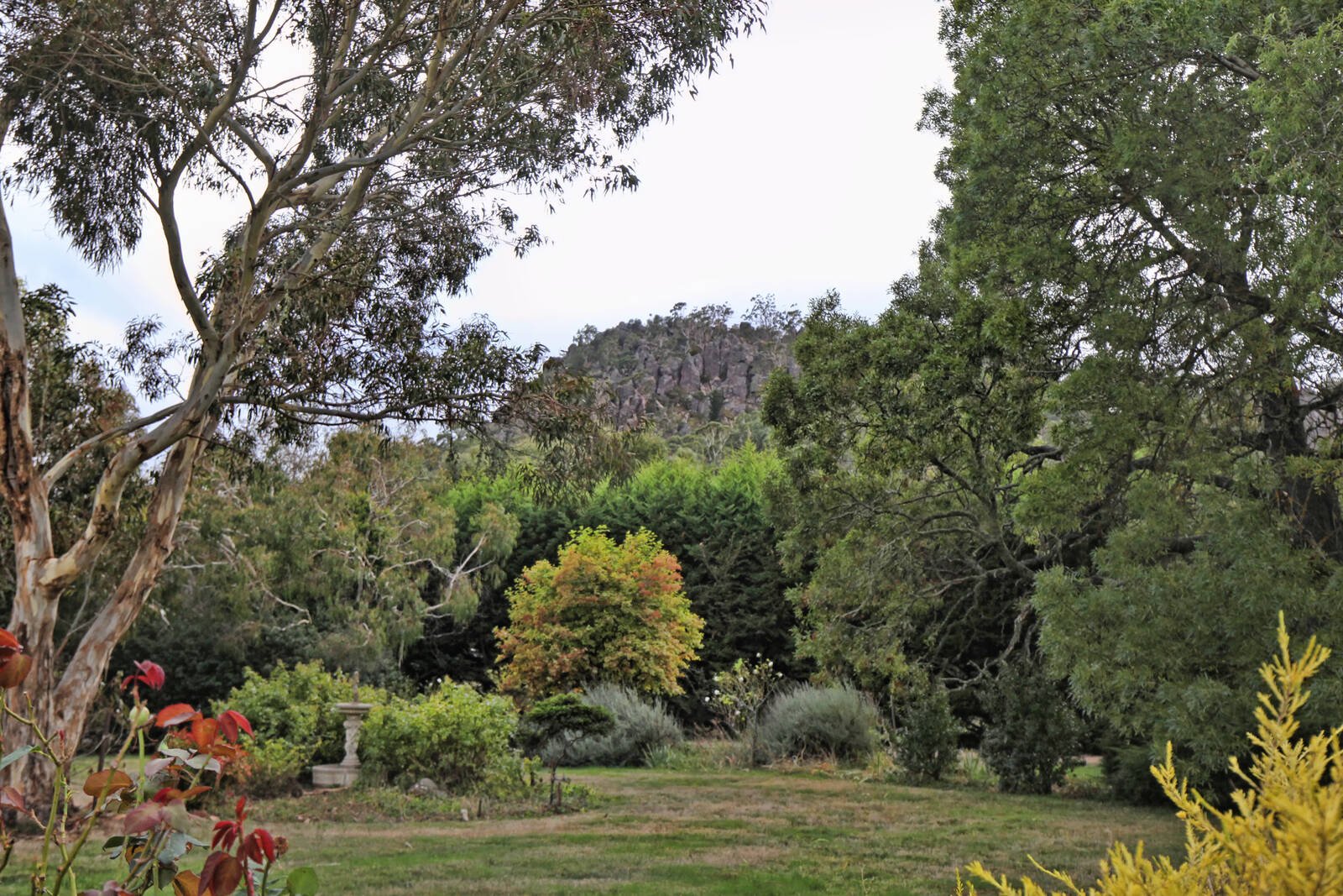 Real Estate and Property in 30 Maxted Drive, Newham, VIC