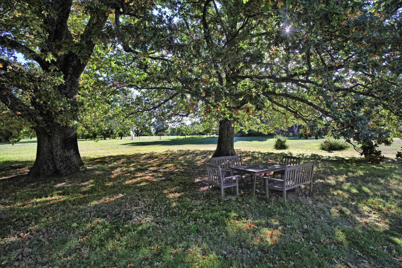 Real Estate and Property in 30 Maxted Drive, Newham, VIC