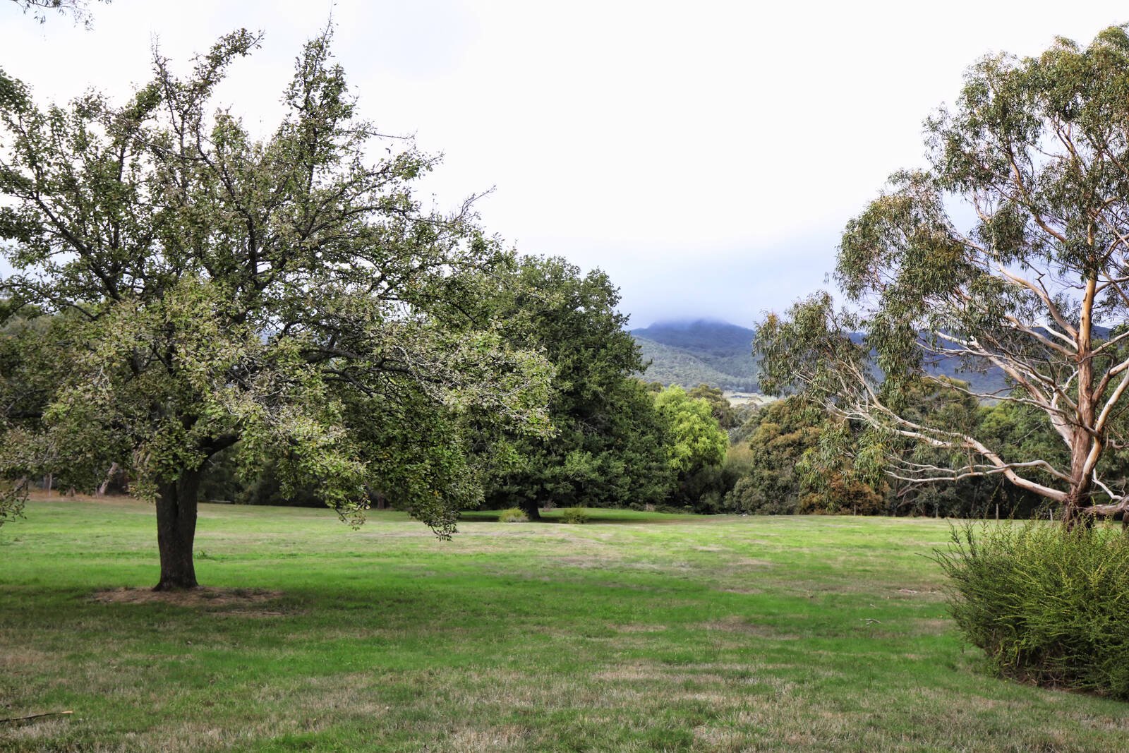 Real Estate and Property in 30 Maxted Drive, Newham, VIC