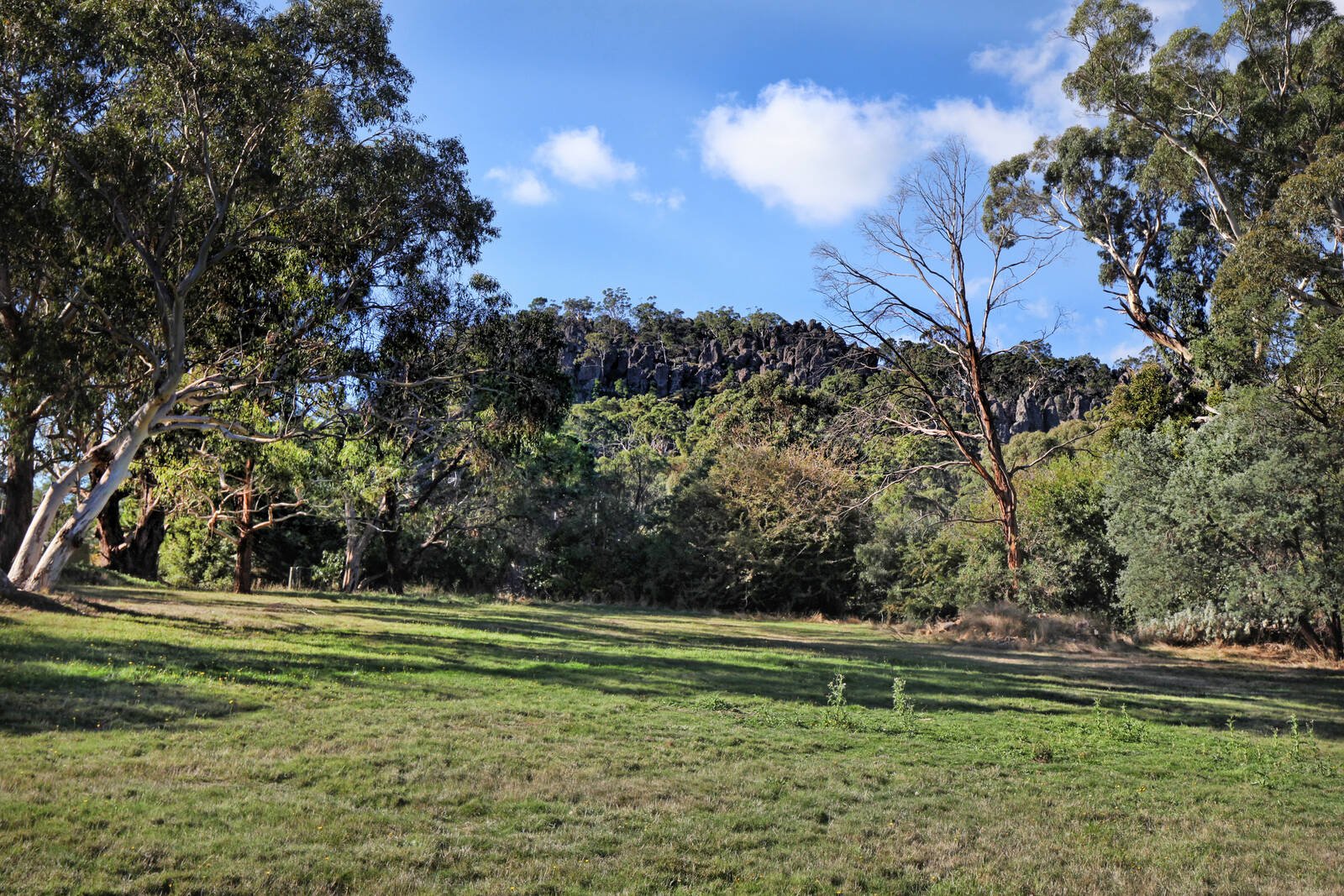 Real Estate and Property in 30 Maxted Drive, Newham, VIC