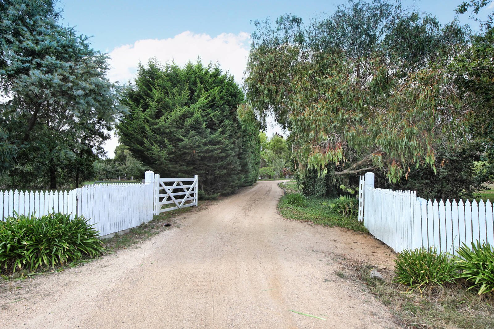 Real Estate and Property in 30 Maxted Drive, Newham, VIC