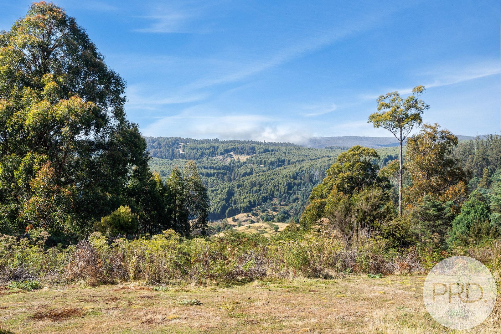 30 McGurk Road MOUNT LLOYD 24