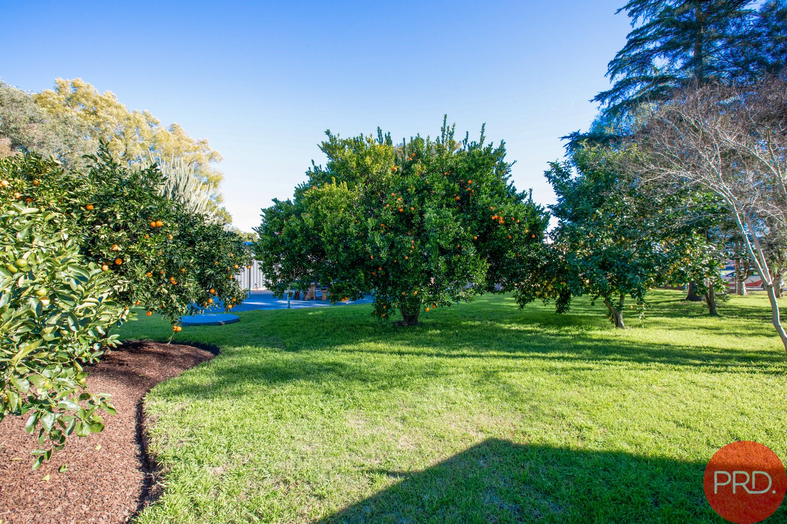 30 Oakhampton Road OAKHAMPTON 22