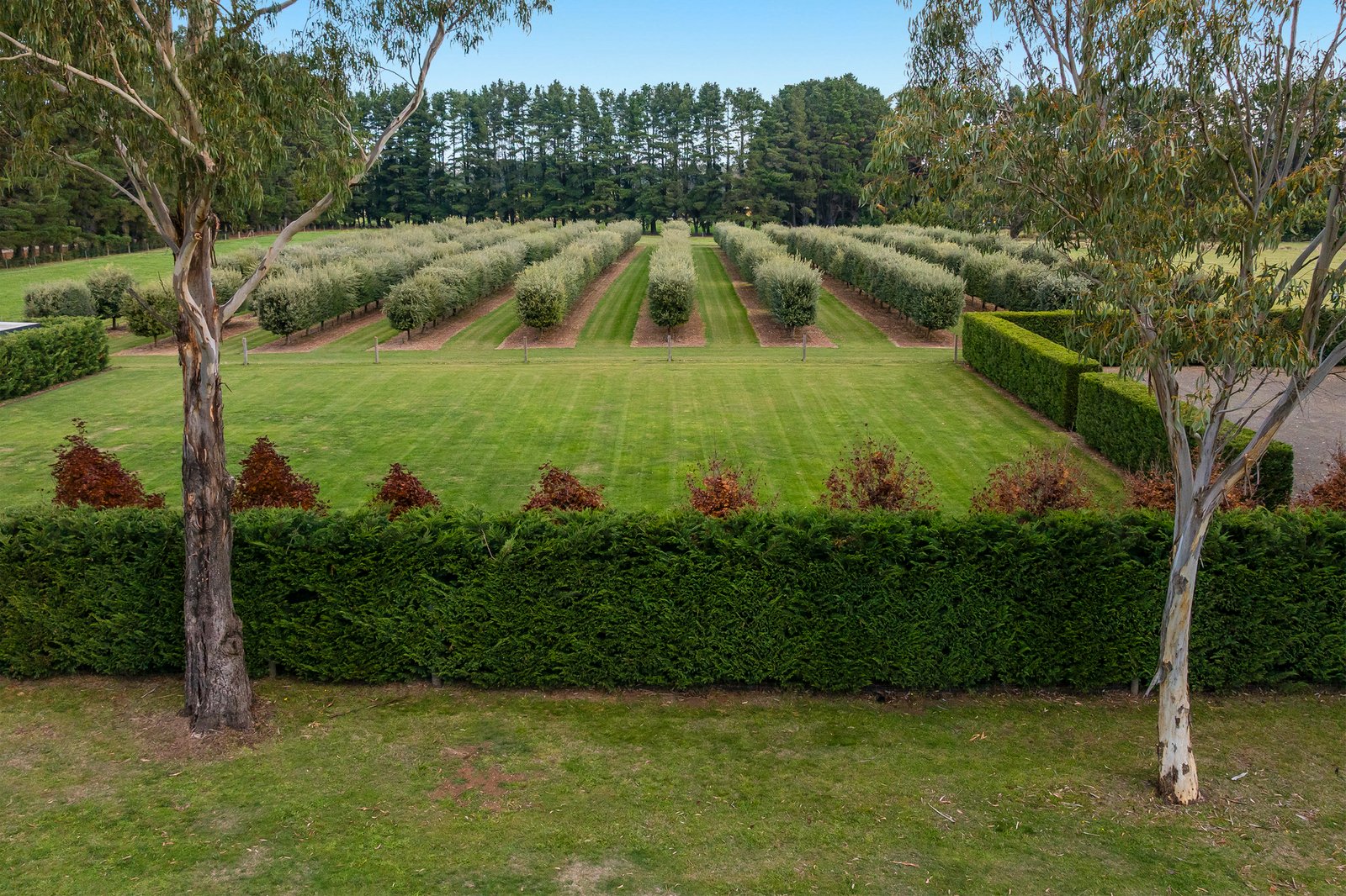 Real Estate and Property in 30 Pearsons Road, Trentham, VIC