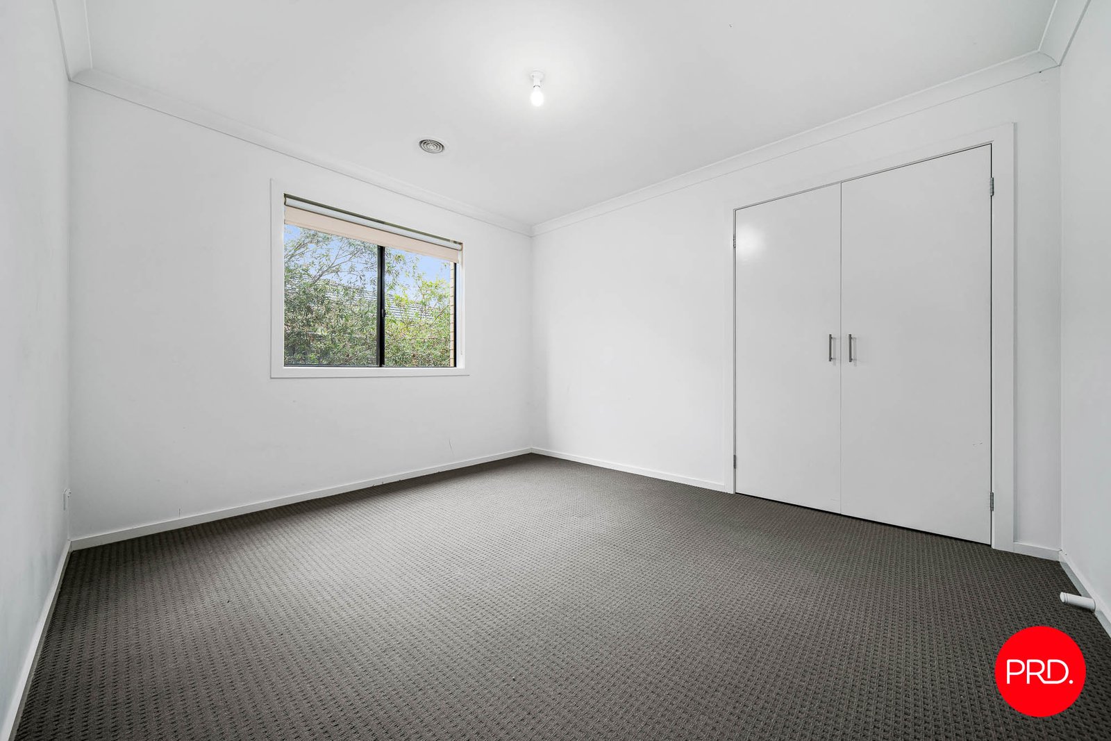 30 Saltbush Street JACKASS FLAT 10