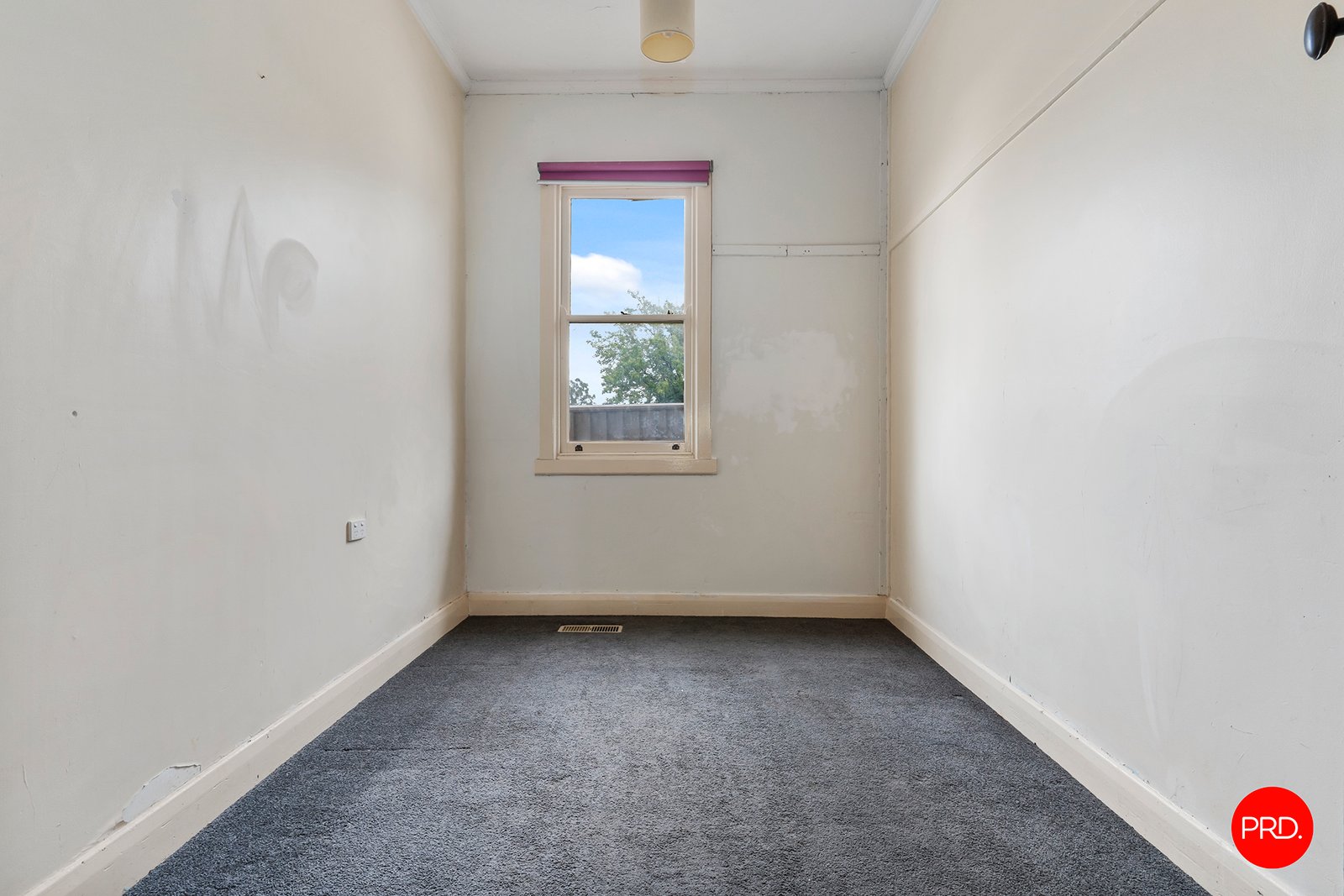 30 Somerville Street FLORA HILL 19