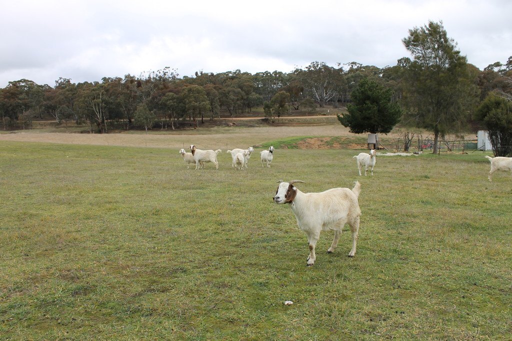 30 The Valley Road DUNACH 12