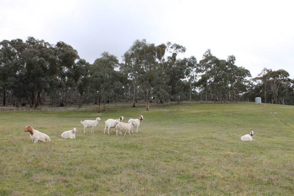 30 The Valley Road DUNACH 13