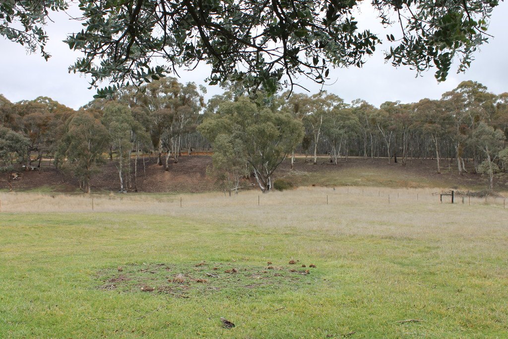 30 The Valley Road DUNACH 14