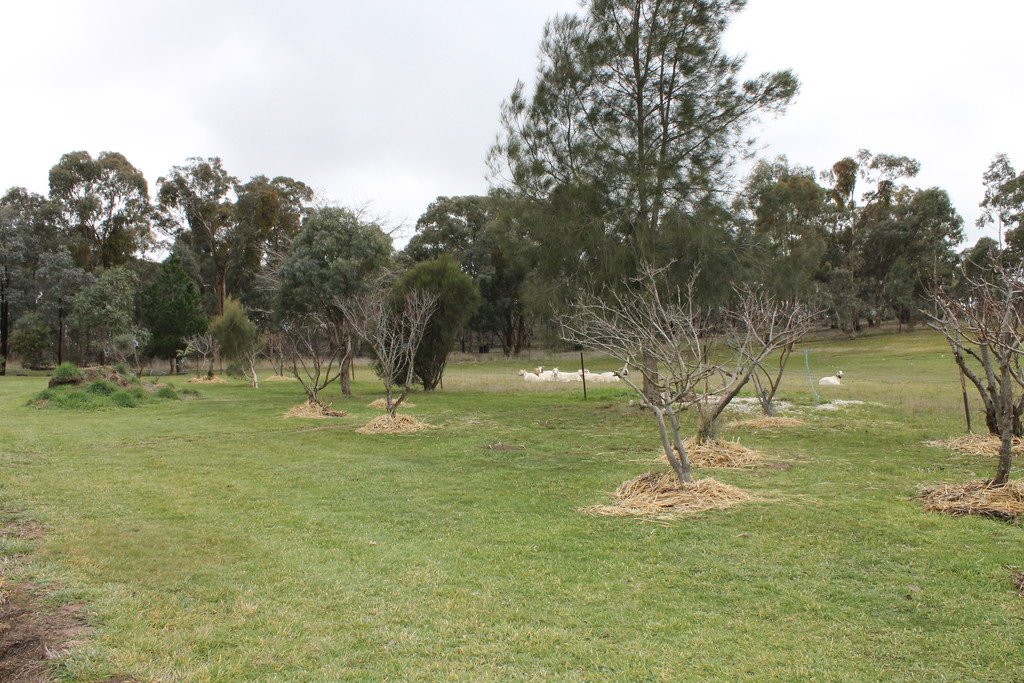 30 The Valley Road DUNACH 15