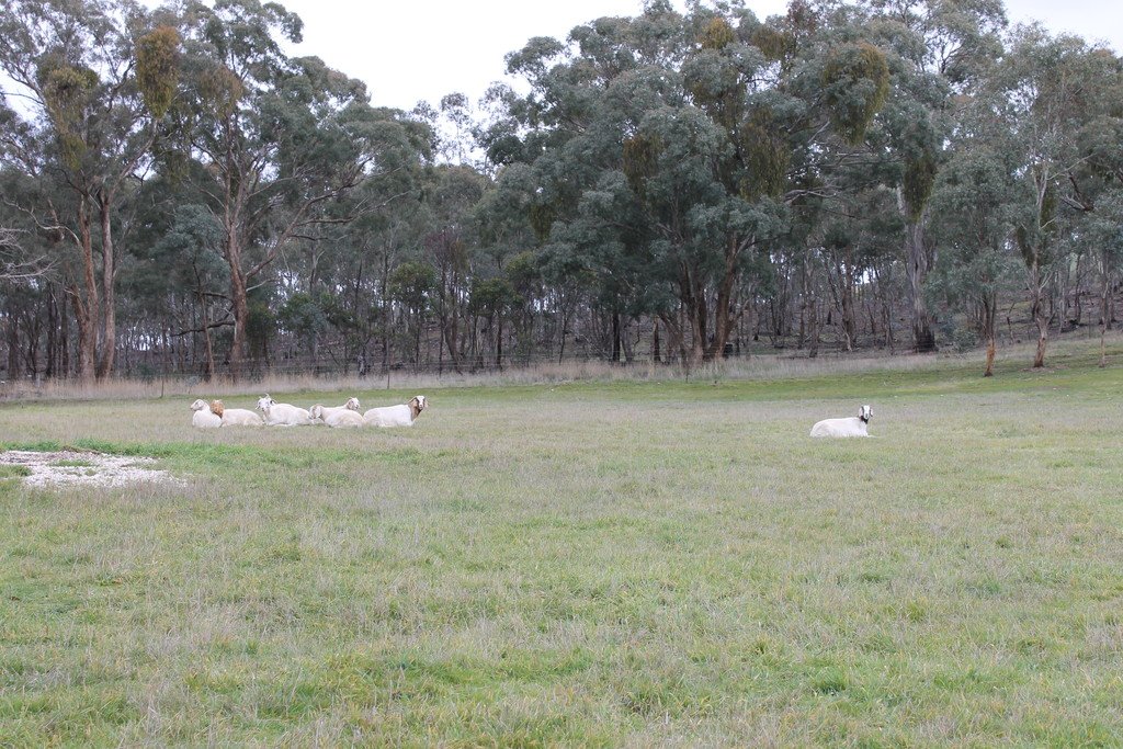 30 The Valley Road DUNACH 18