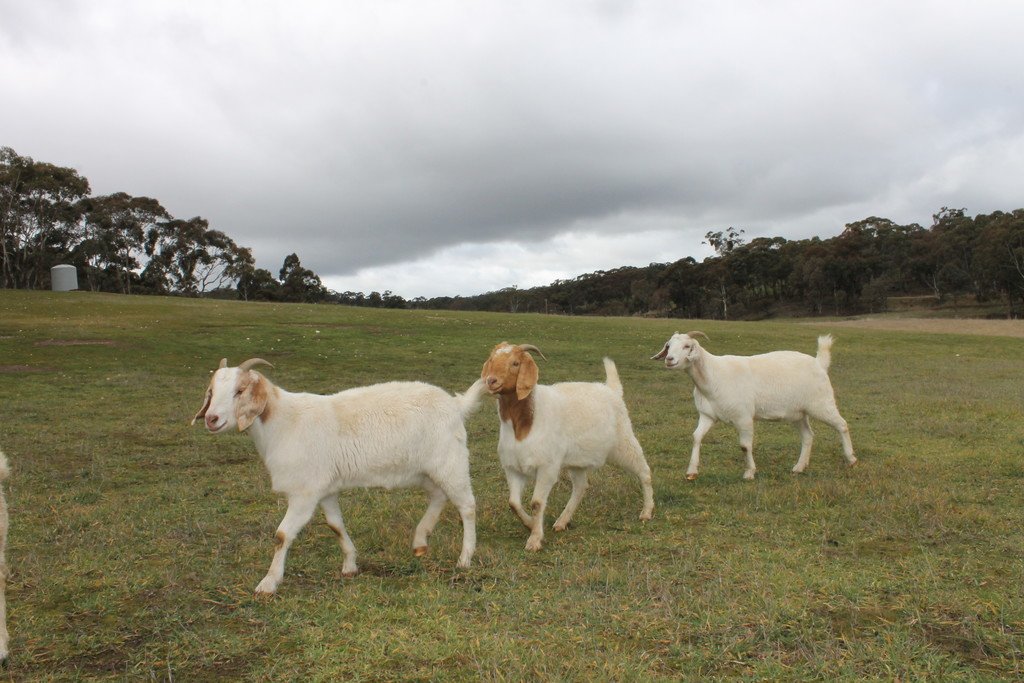 30 The Valley Road DUNACH 19