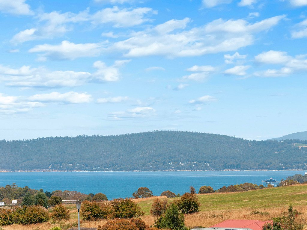 30 Thistle Down  HUNTINGFIELD 4