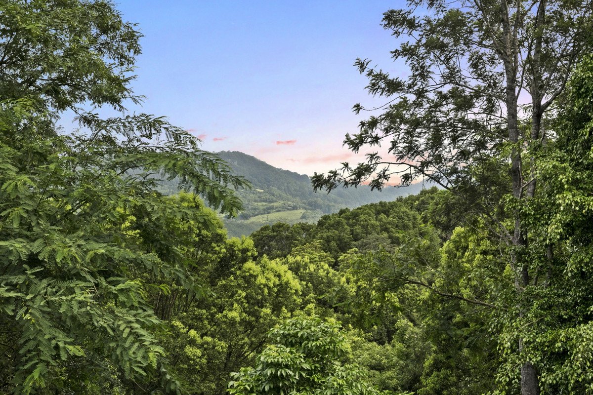 30 Thomas Waters Road TALLEBUDGERA VALLEY 18