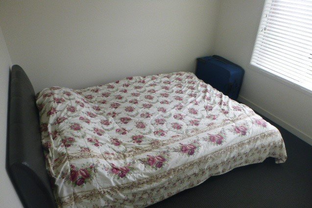 30 Warburton Drive Lucas 7