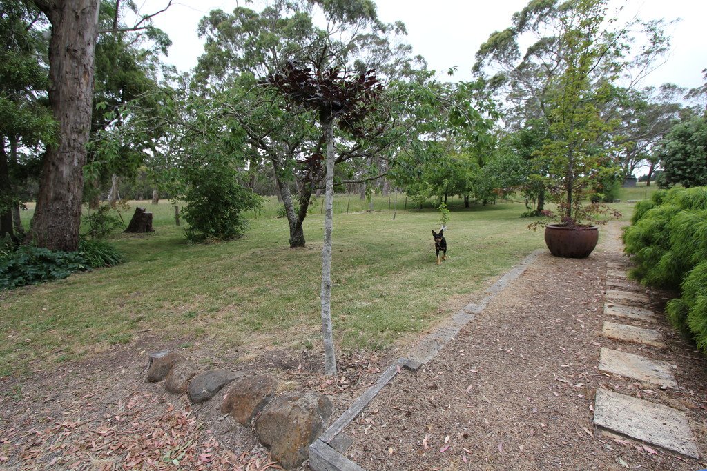 300 Greenhill Road MOUNT HELEN 15