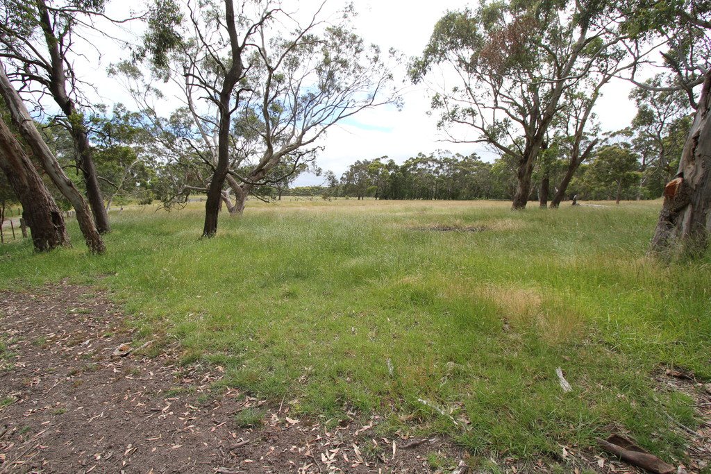 300 Greenhill Road MOUNT HELEN 19