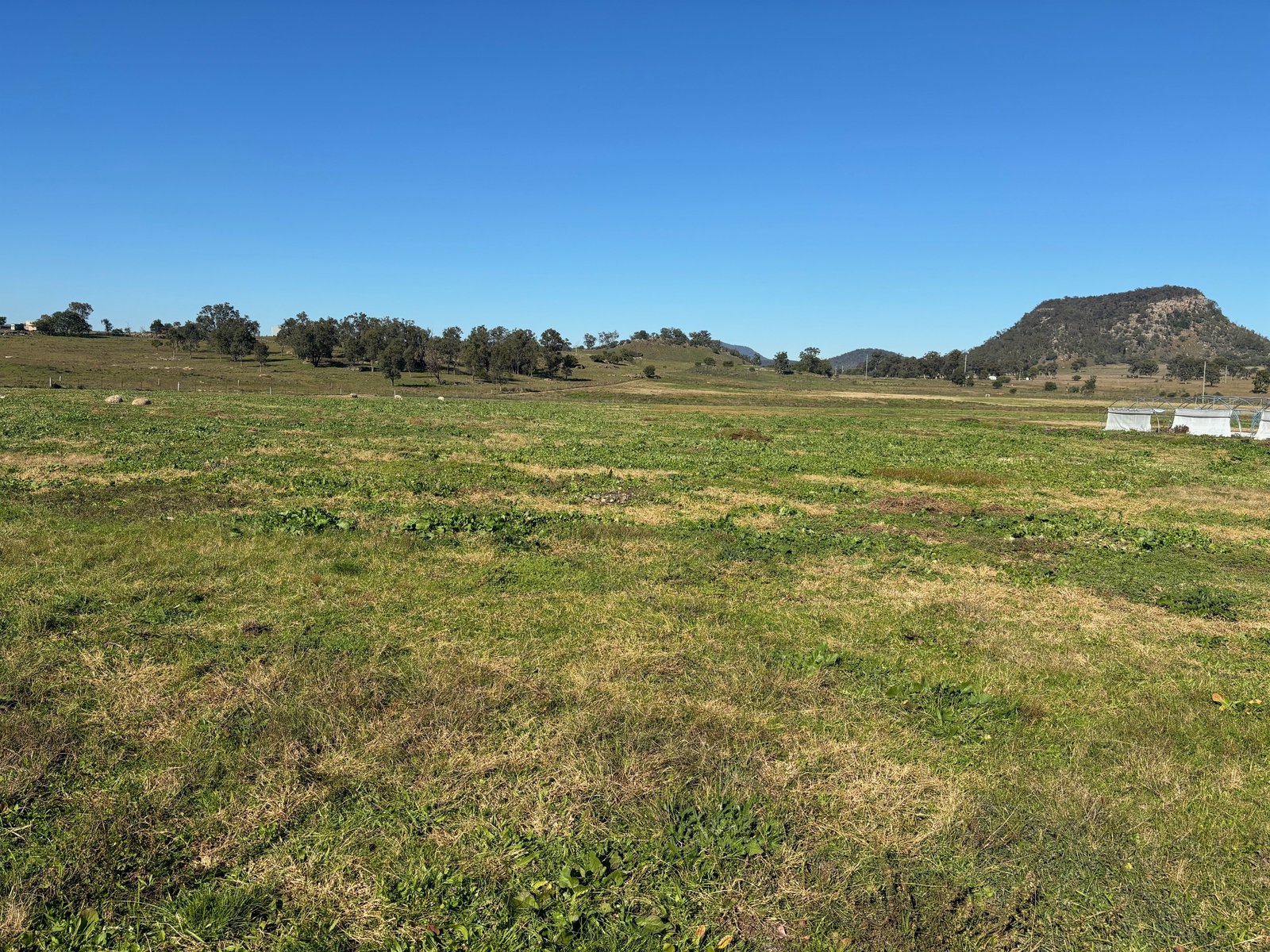 3004 Golden Highway GUNGAL 3