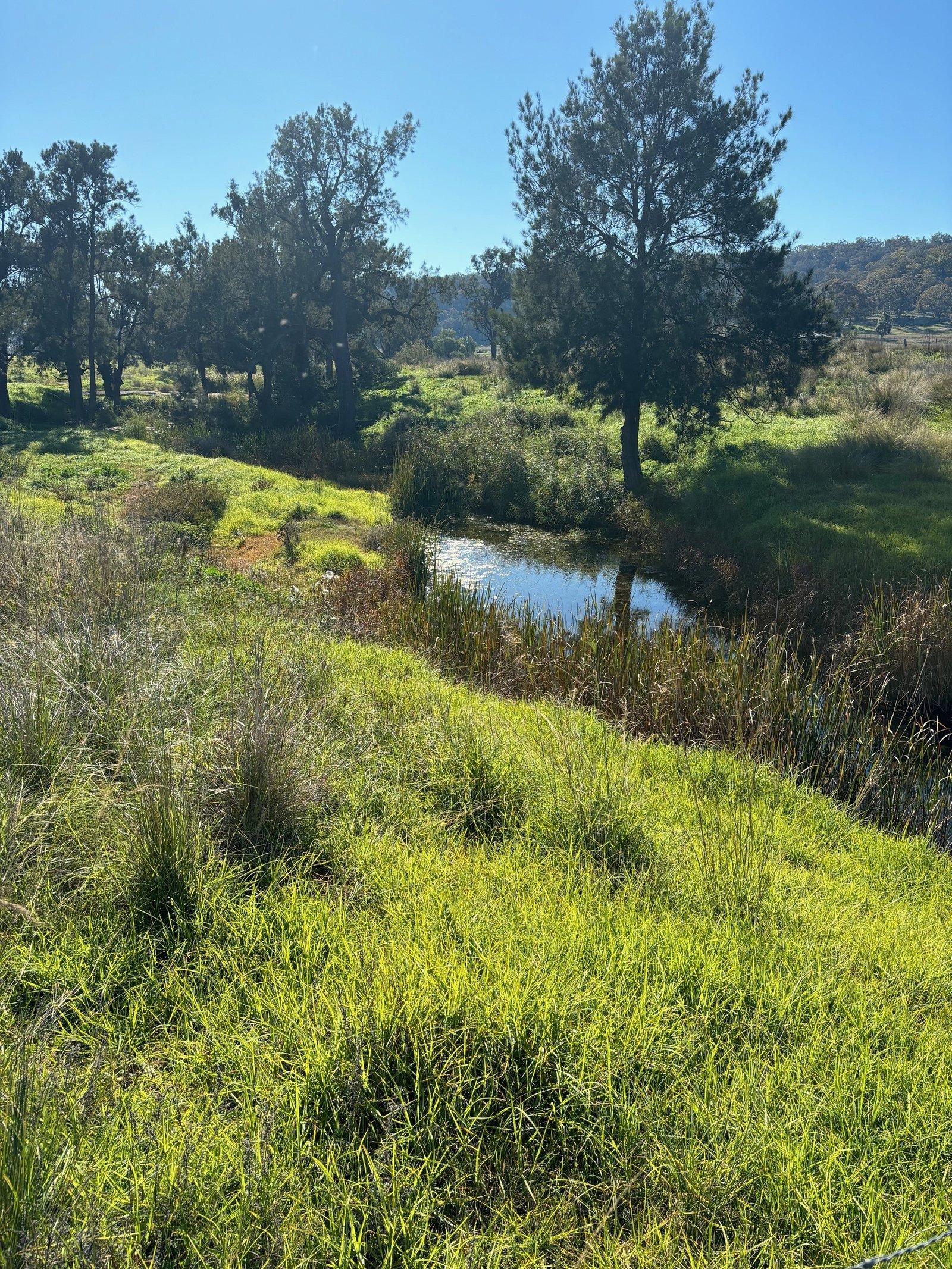 3004 Golden Highway GUNGAL 4