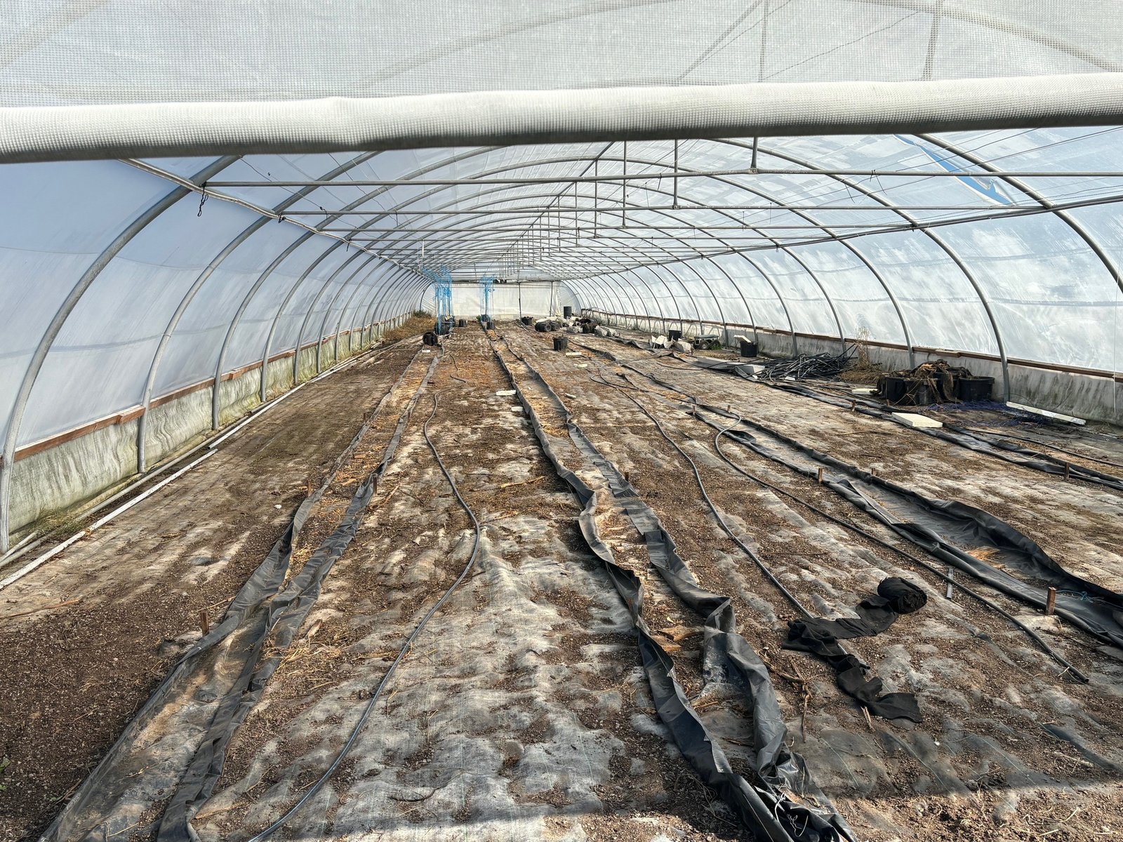 3004 Golden Highway GUNGAL 6