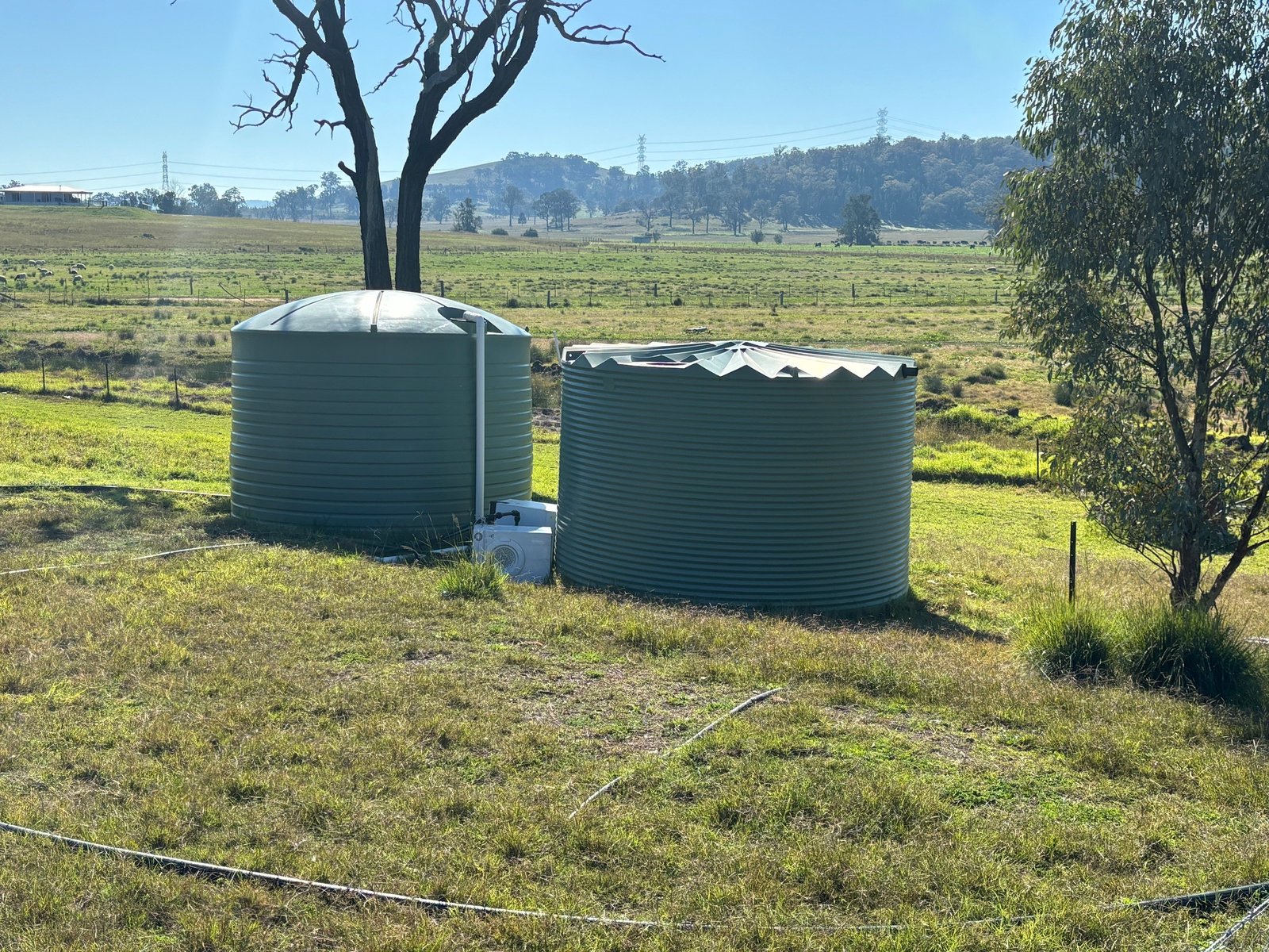 3004 Golden Highway GUNGAL 9