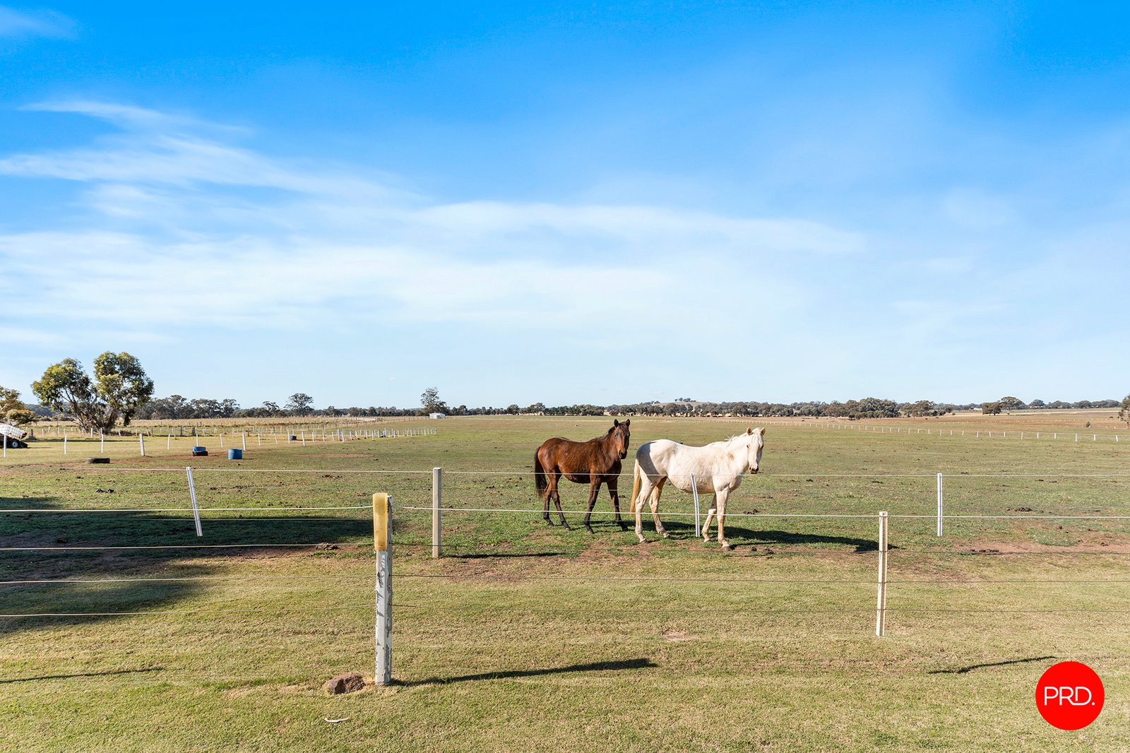 301 Pinchgut Lane SHELBOURNE 21