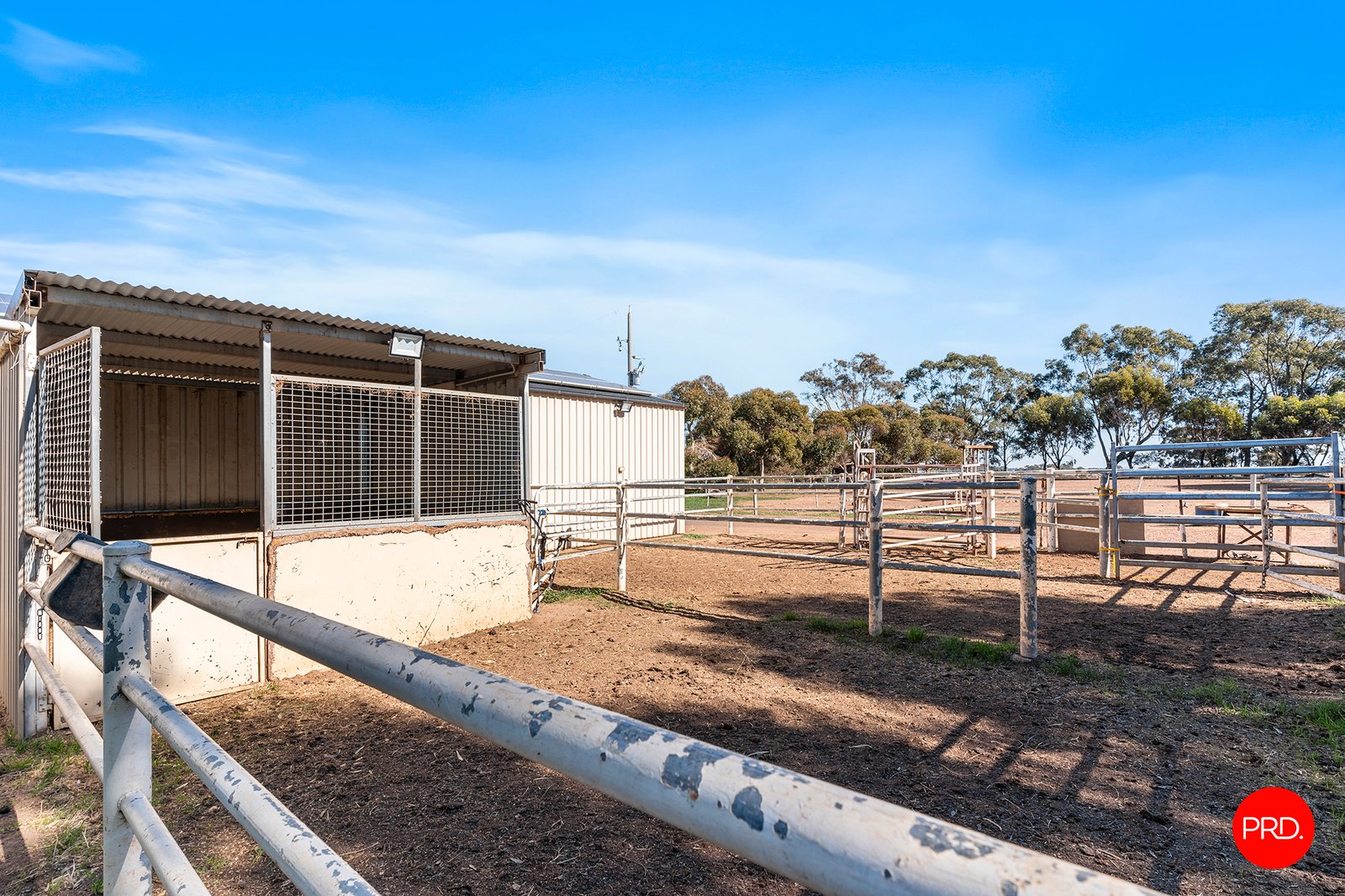 301 Pinchgut Lane SHELBOURNE 24