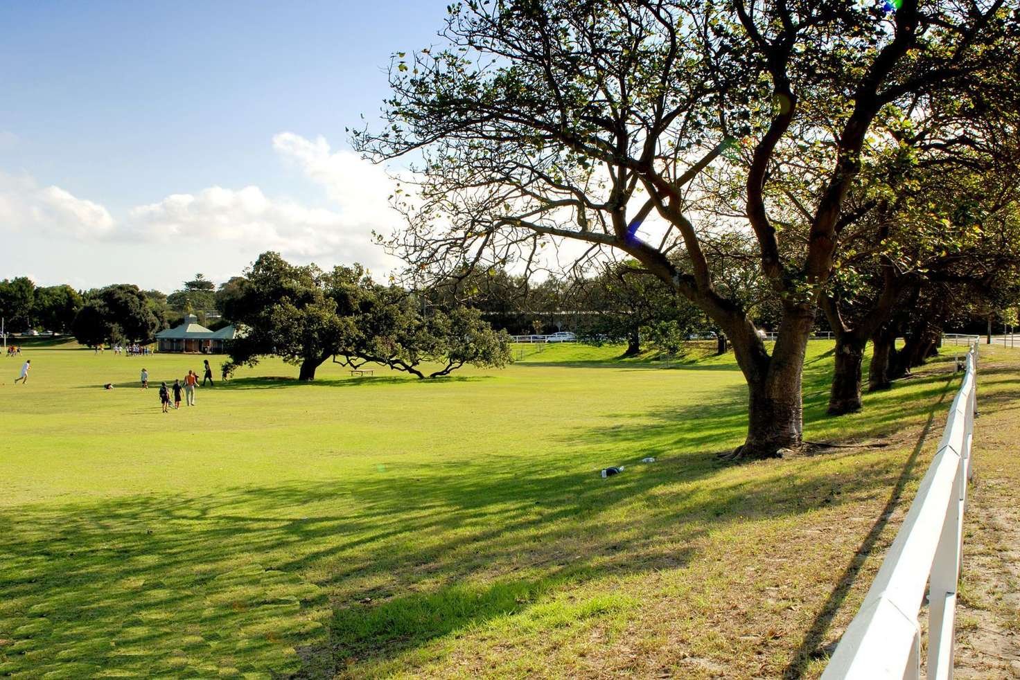 301/2 Roscrea Avenue RANDWICK 10