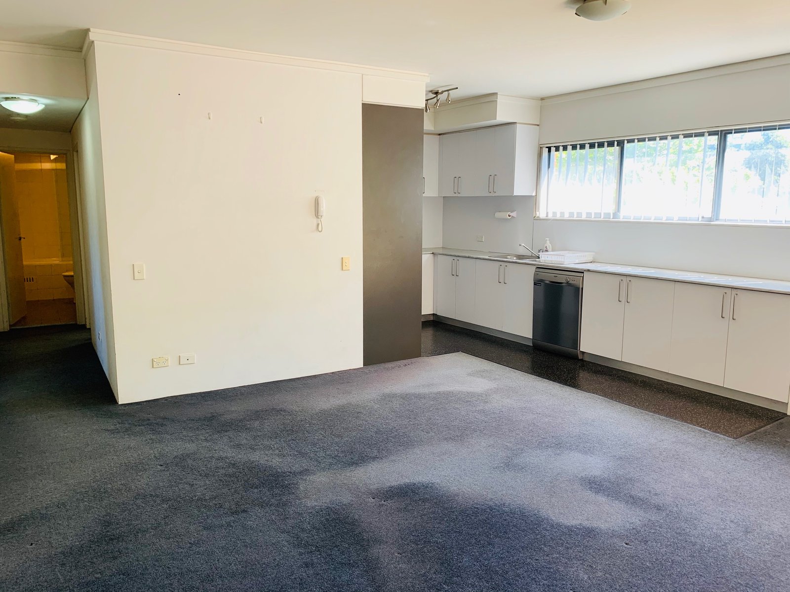 301E/138 Carillon Avenue NEWTOWN 2