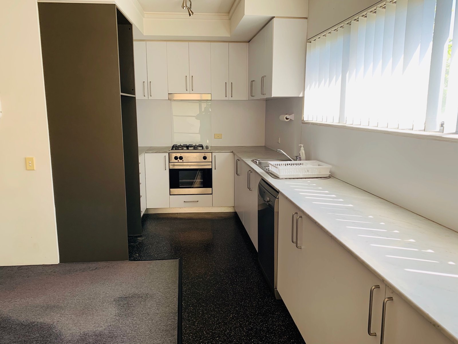 301E/138 Carillon Avenue NEWTOWN 3