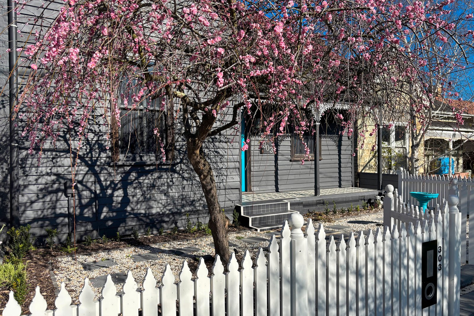 303 Macarthur Street SOLDIERS HILL 1