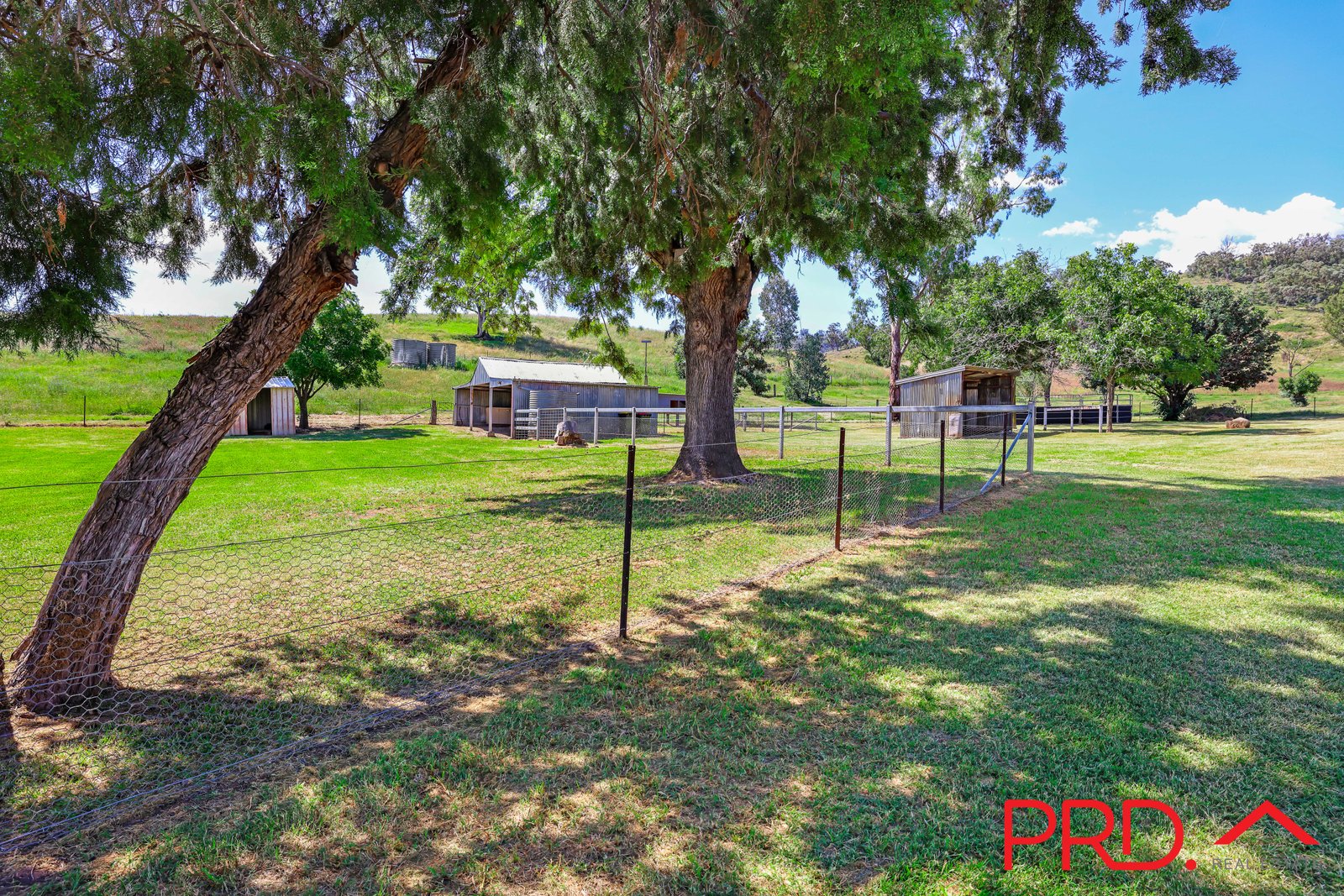 303 Ogunbil Road DUNGOWAN 11