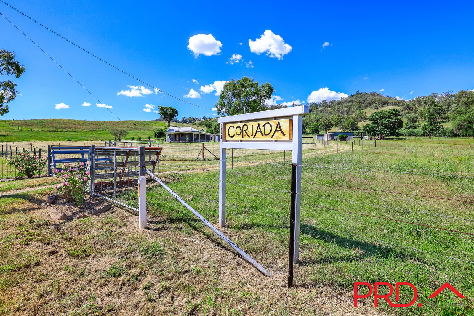 303 Ogunbil Road DUNGOWAN 13