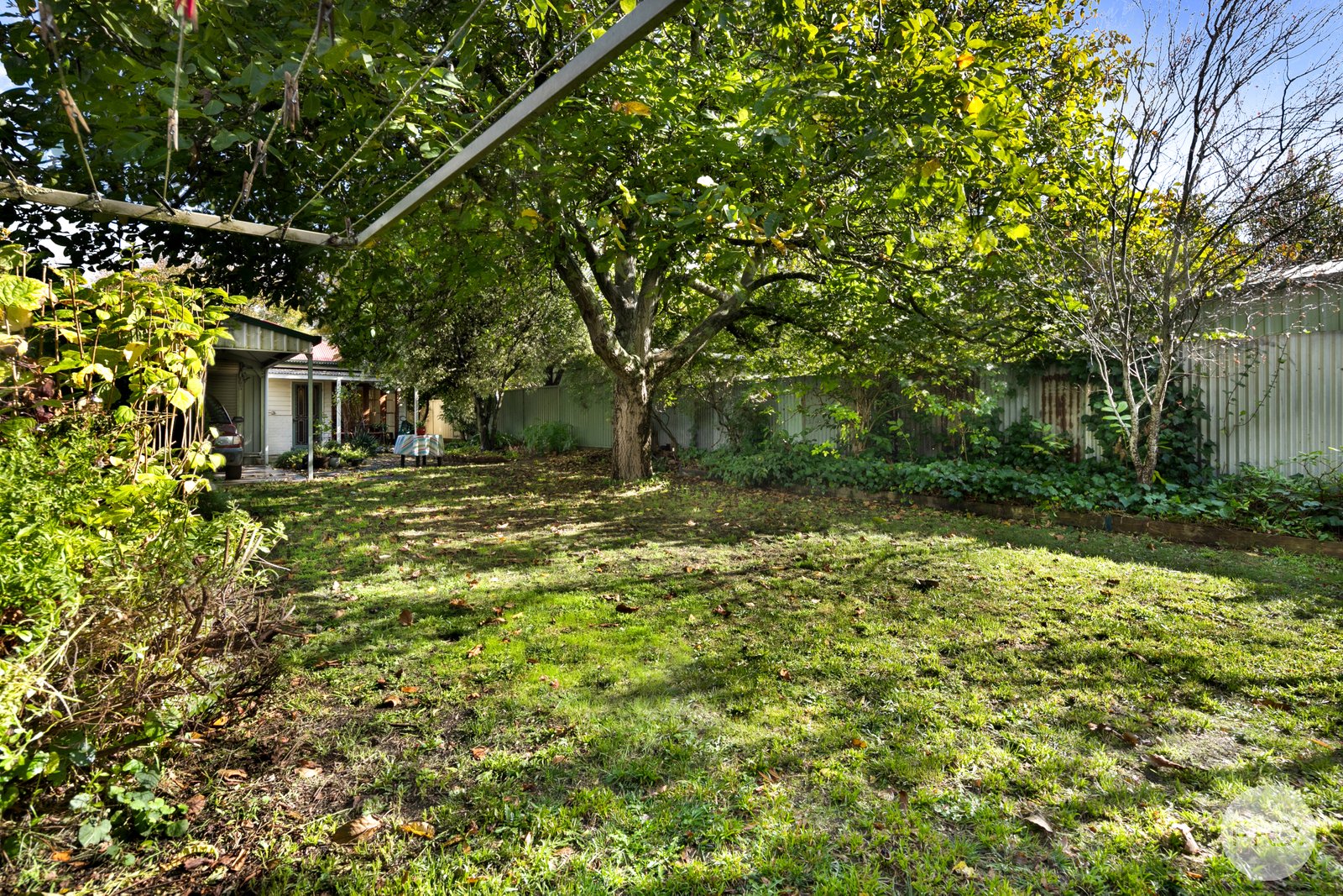 303 Windermere Street South BALLARAT CENTRAL 16