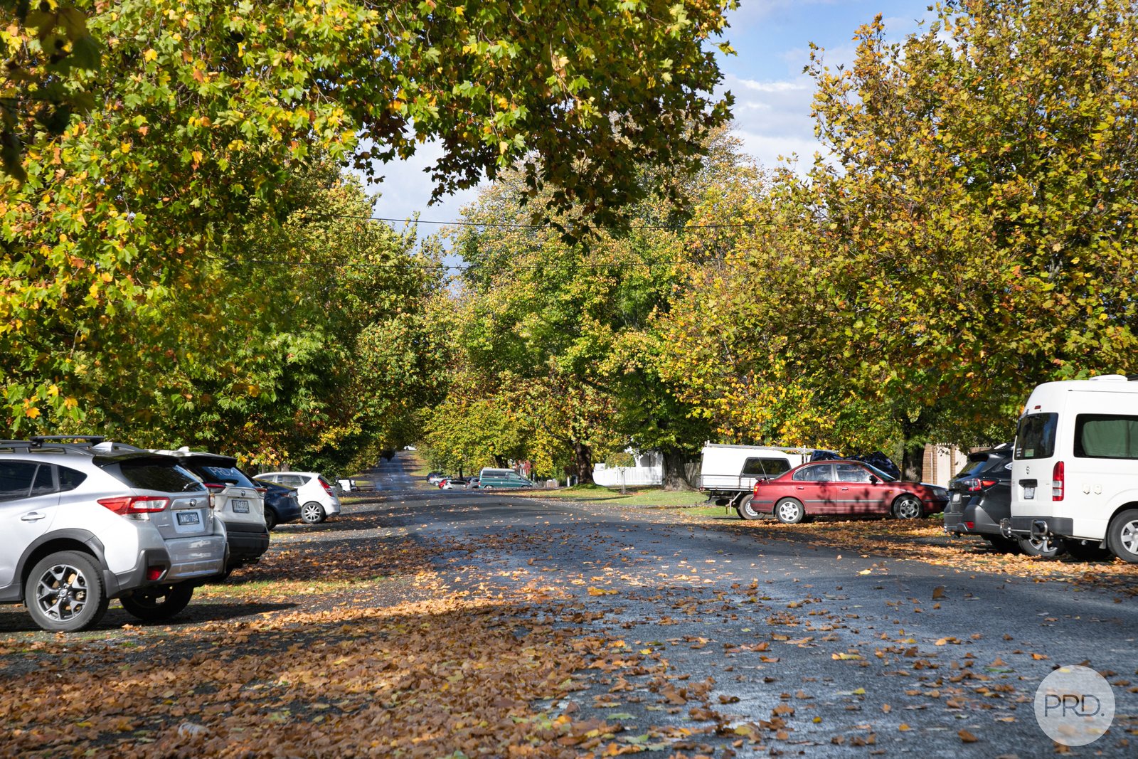 303 Windermere Street South BALLARAT CENTRAL 17