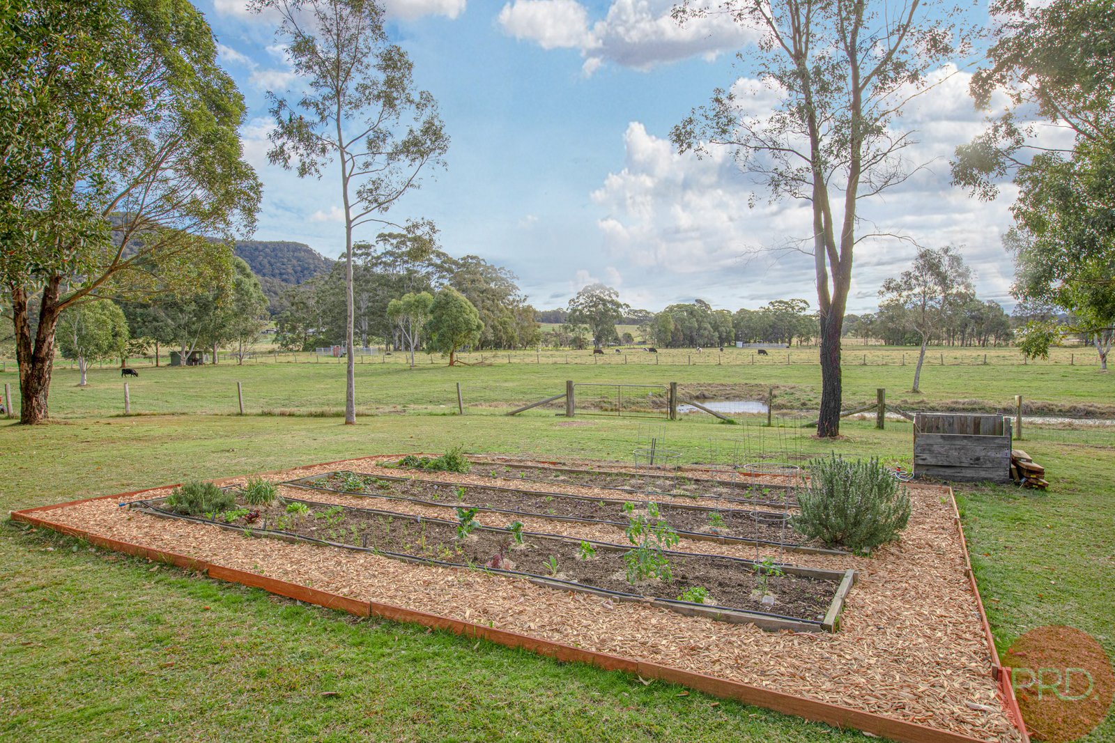 304 Whitings Lane QUORROBOLONG 33