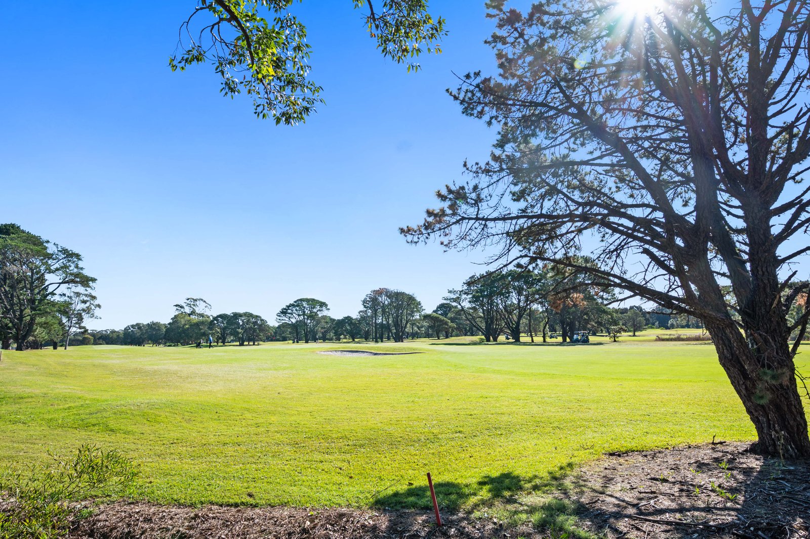 304/104A Bay Street PAGEWOOD 16