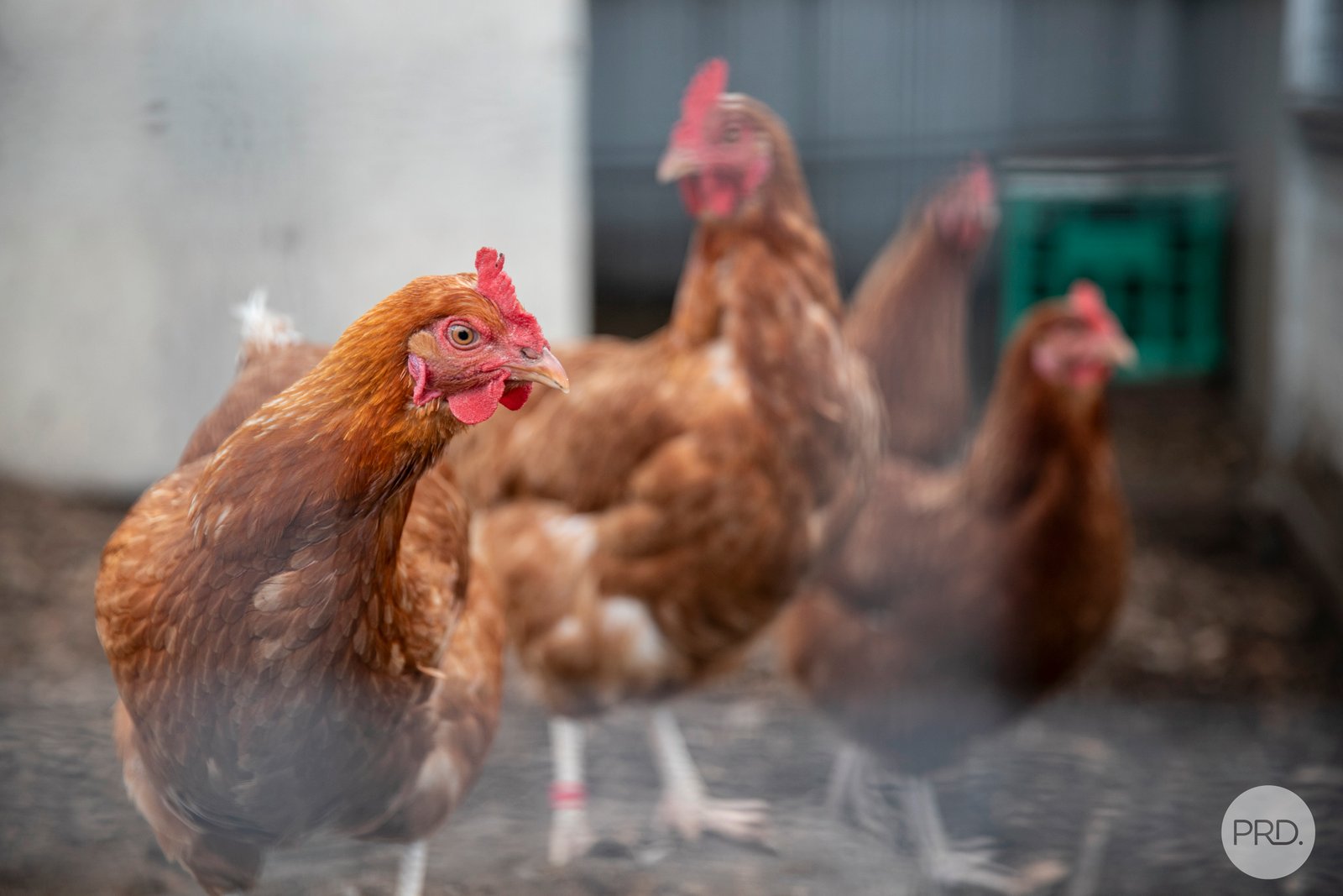 305 Gordon-Egerton Road MOUNT EGERTON 16