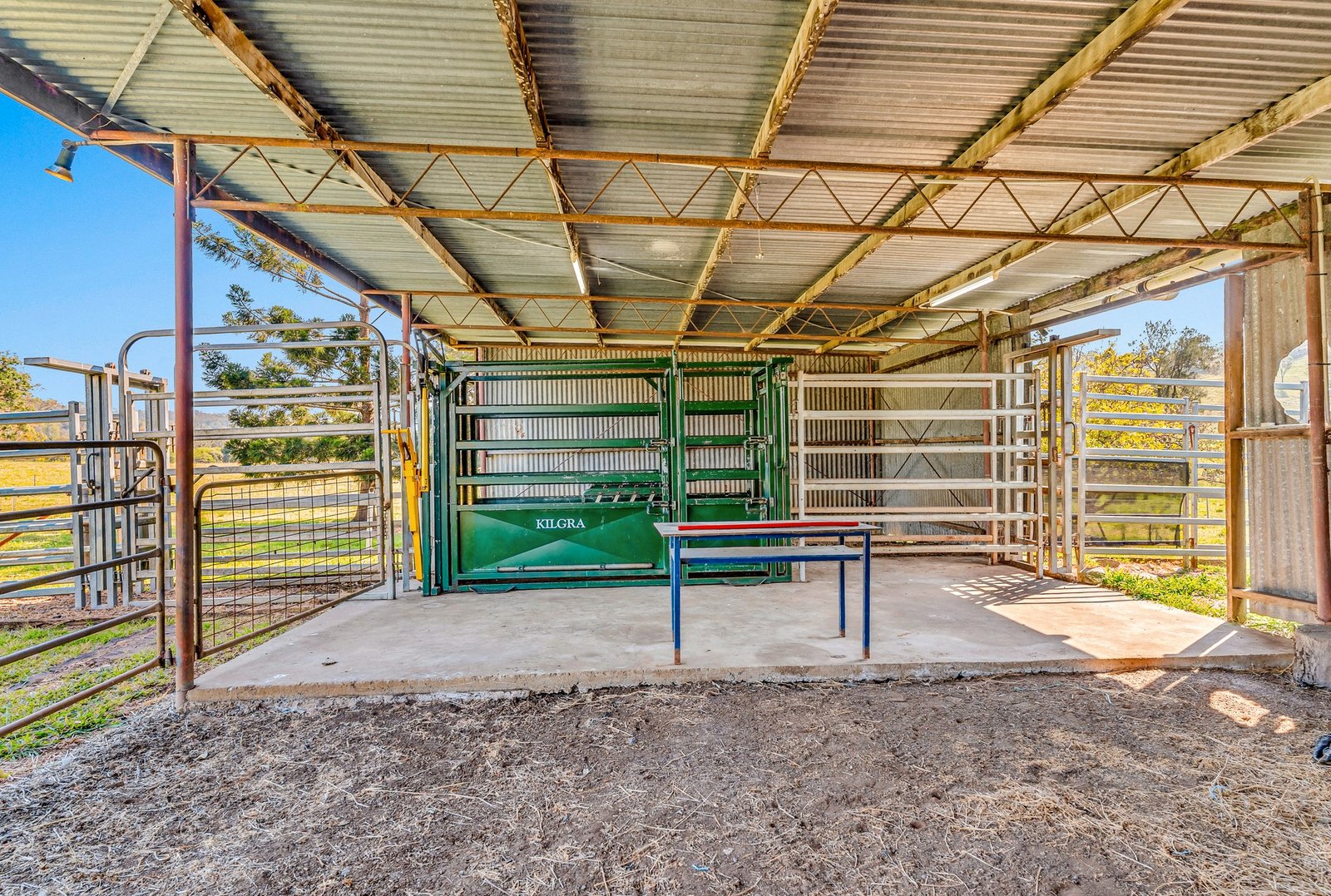 306 Eden Creek Road WYNEDEN 33