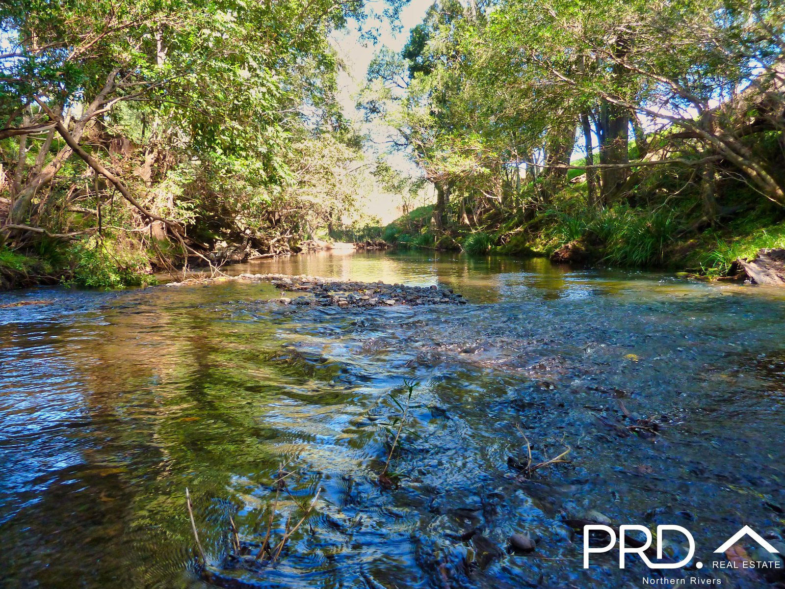 306 Eden Creek Road WYNEDEN 26