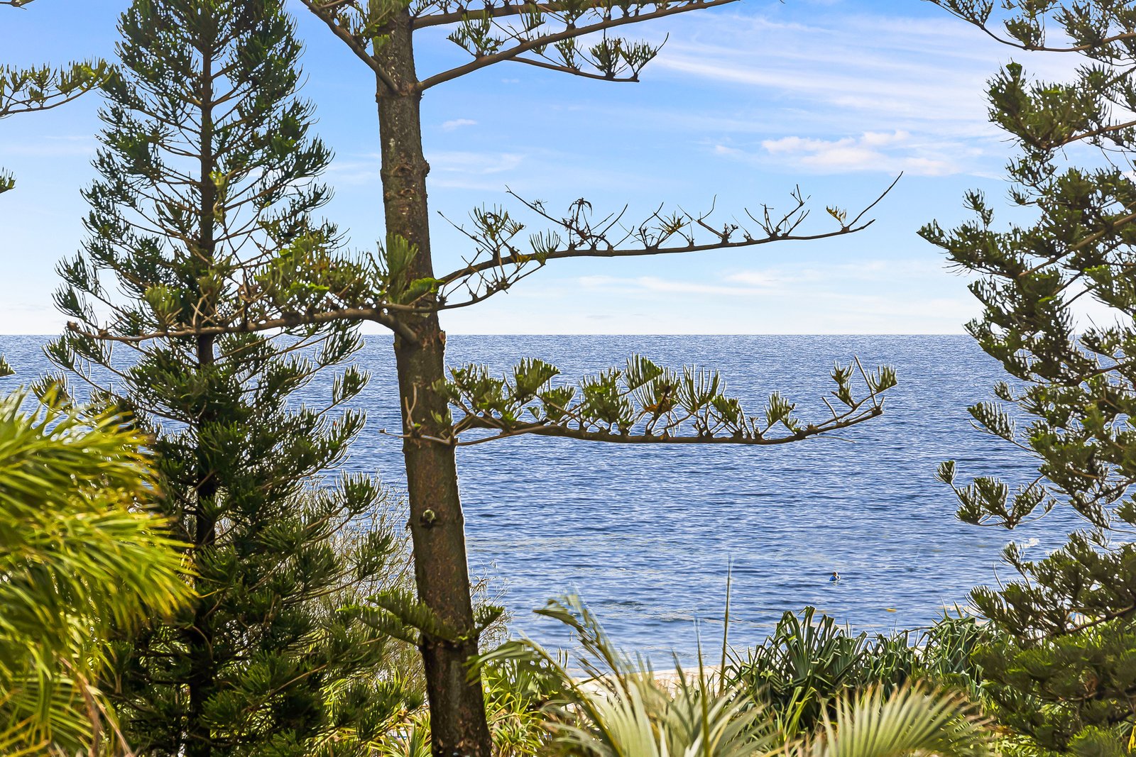 306/99 Griffith Street COOLANGATTA 6