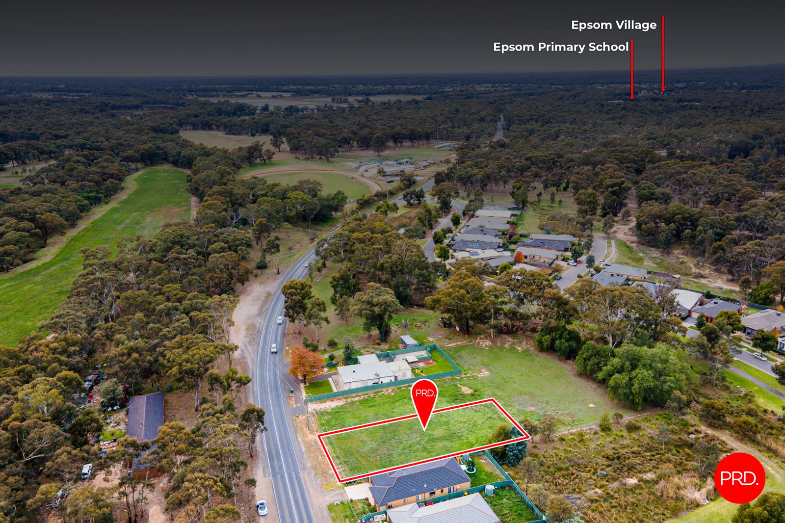 307 Howard Street JACKASS FLAT 1