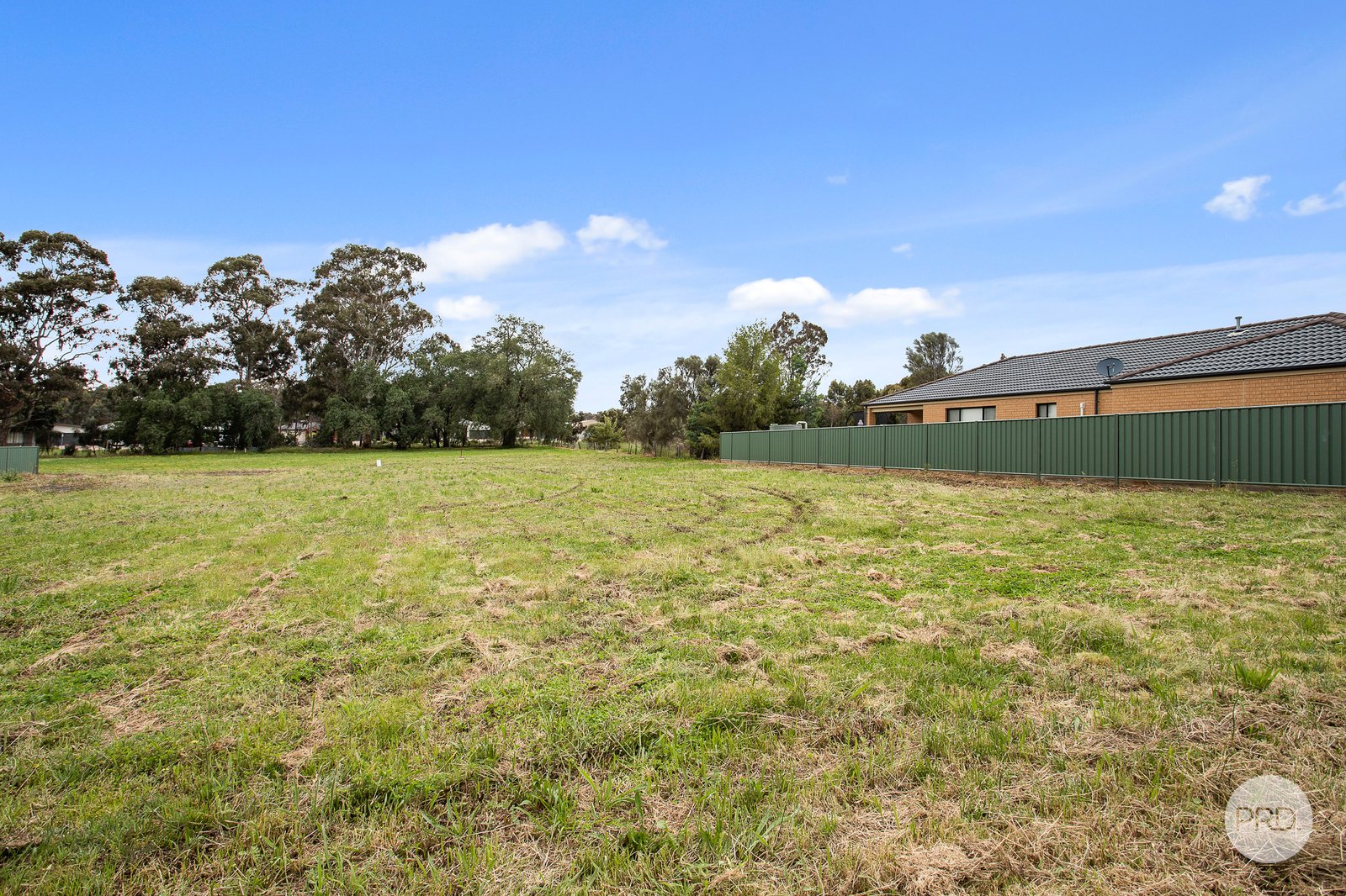 307 Howard Street JACKASS FLAT 5