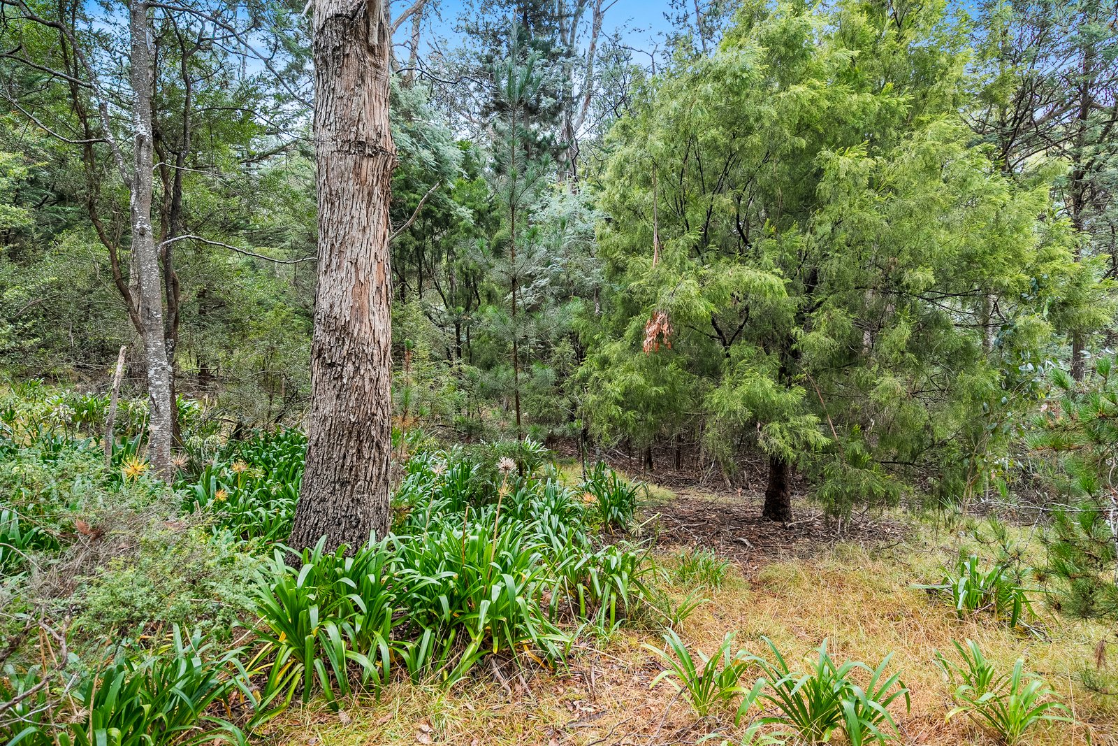 3074 Channel Highway KETTERING 22